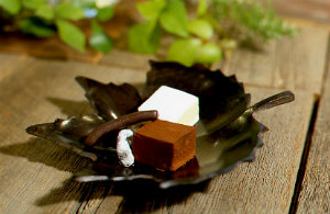 生チョコ ・オランジェット 2色皿盛